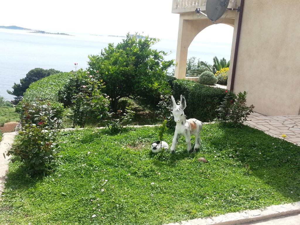 Lira Apartment *