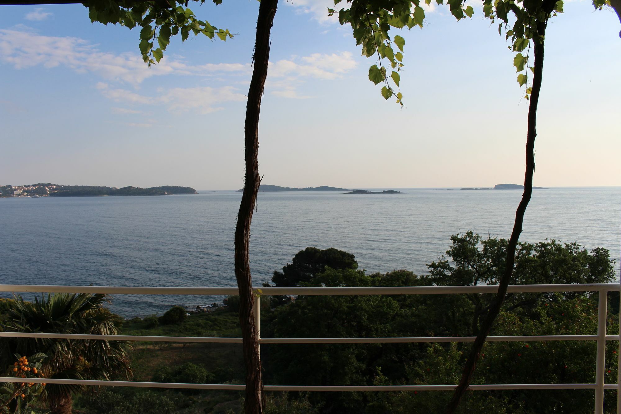 Lira * Mlini
